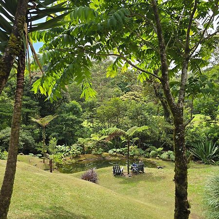 UNFORGETTABLE PLACE,Monteverde Casa Mia near main attractions&town Buitenkant foto