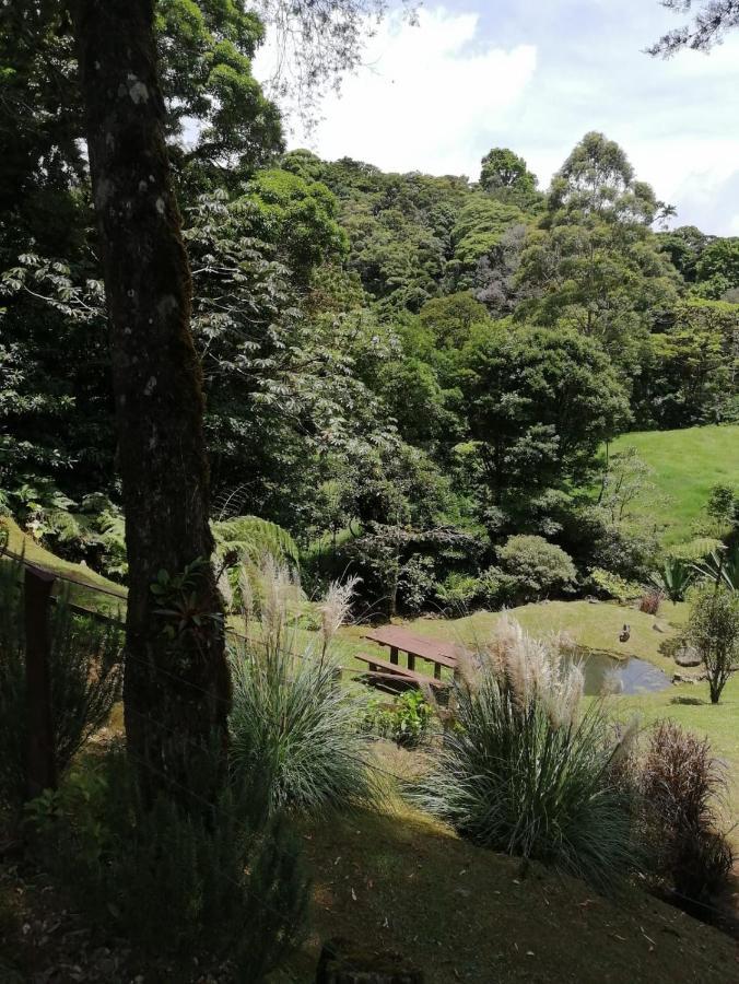 UNFORGETTABLE PLACE,Monteverde Casa Mia near main attractions&town Buitenkant foto