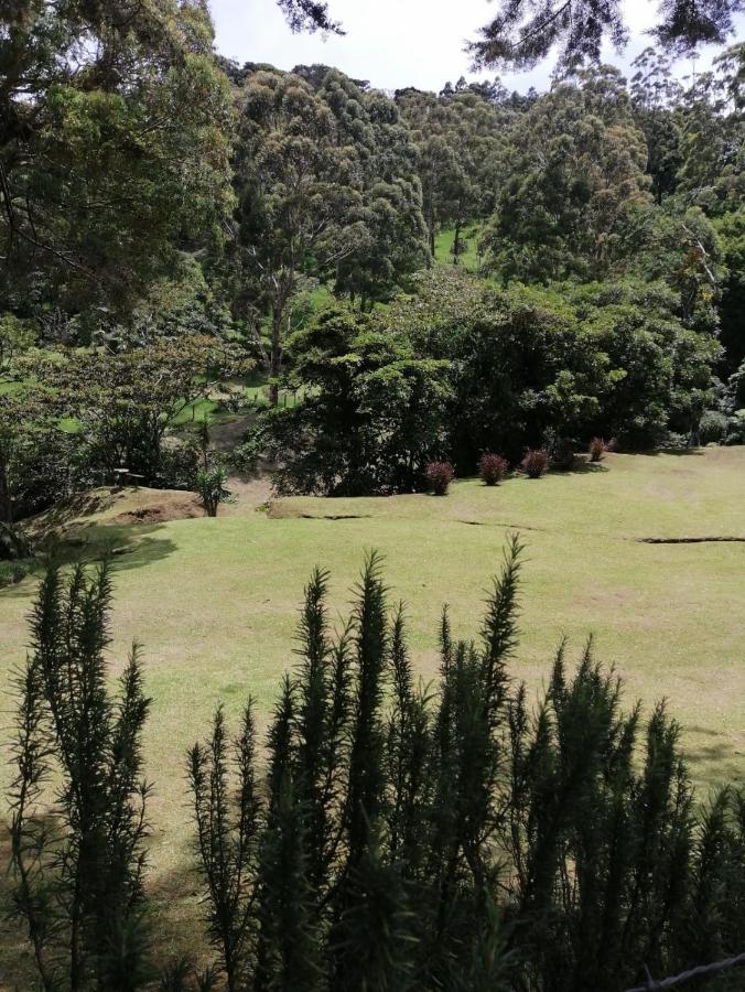 UNFORGETTABLE PLACE,Monteverde Casa Mia near main attractions&town Buitenkant foto
