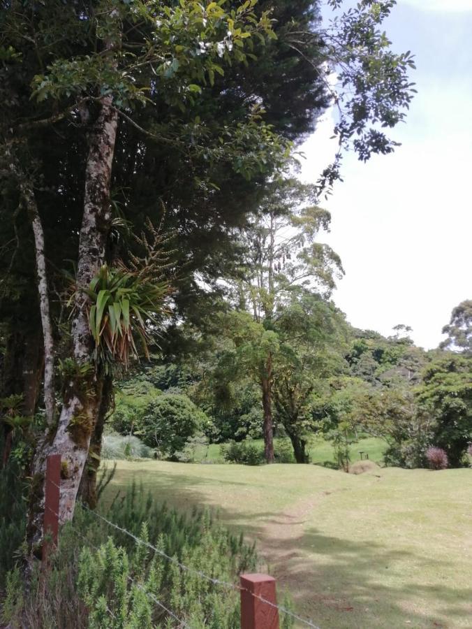 UNFORGETTABLE PLACE,Monteverde Casa Mia near main attractions&town Buitenkant foto
