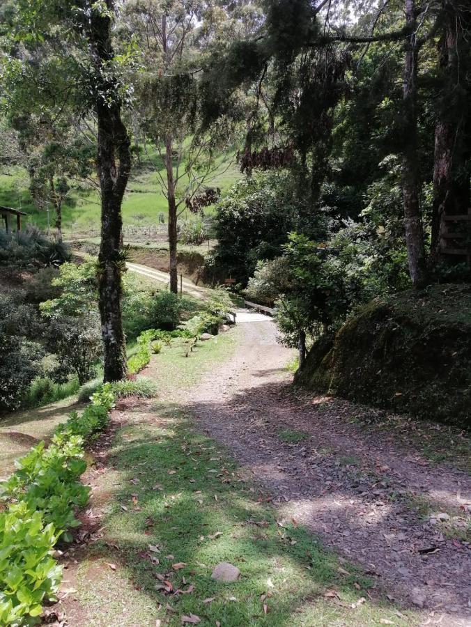 UNFORGETTABLE PLACE,Monteverde Casa Mia near main attractions&town Buitenkant foto
