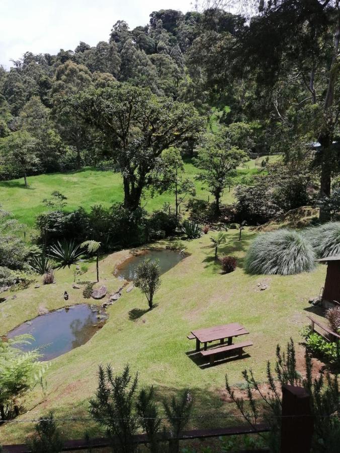 UNFORGETTABLE PLACE,Monteverde Casa Mia near main attractions&town Buitenkant foto