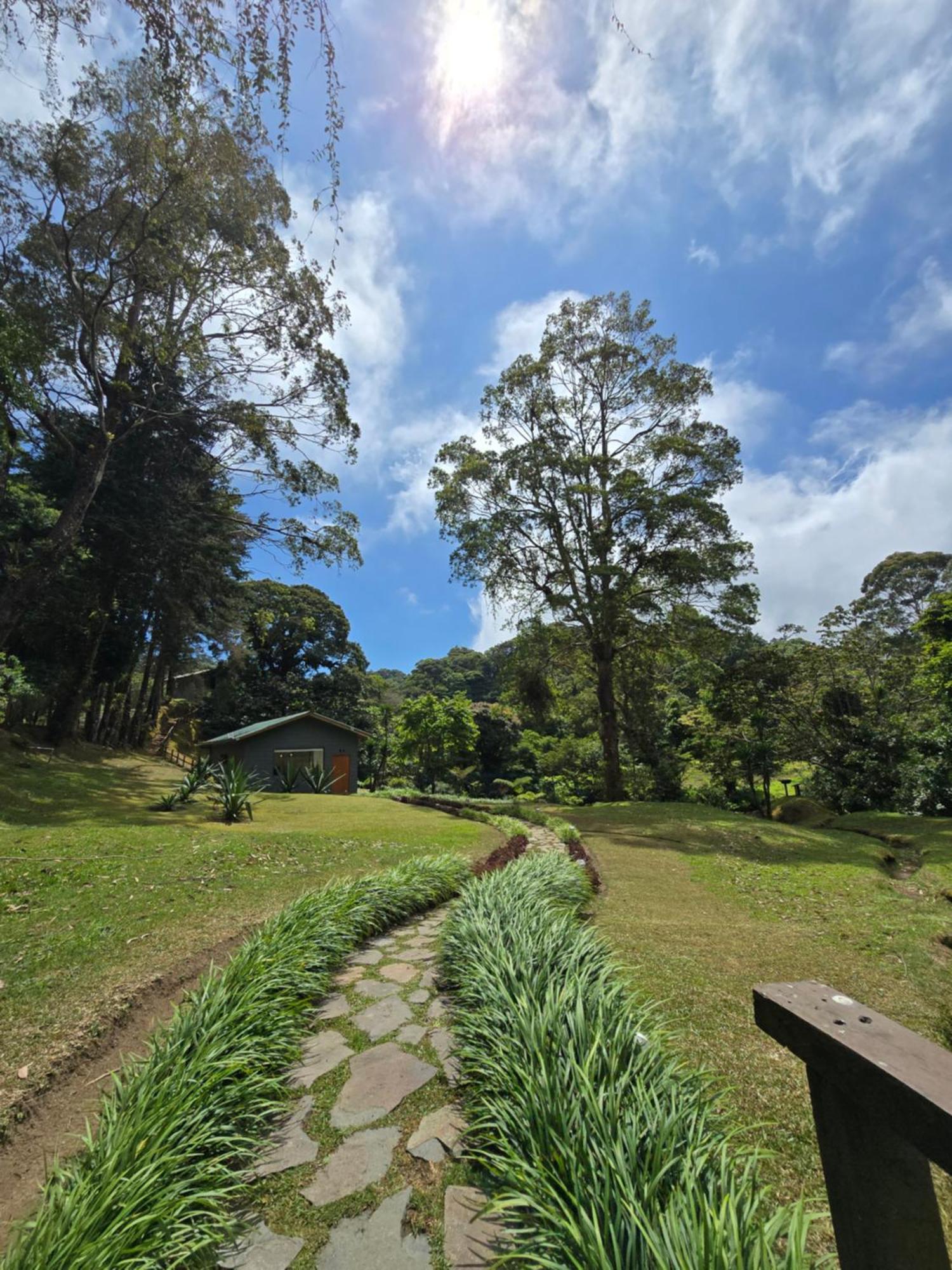 UNFORGETTABLE PLACE,Monteverde Casa Mia near main attractions&town Buitenkant foto