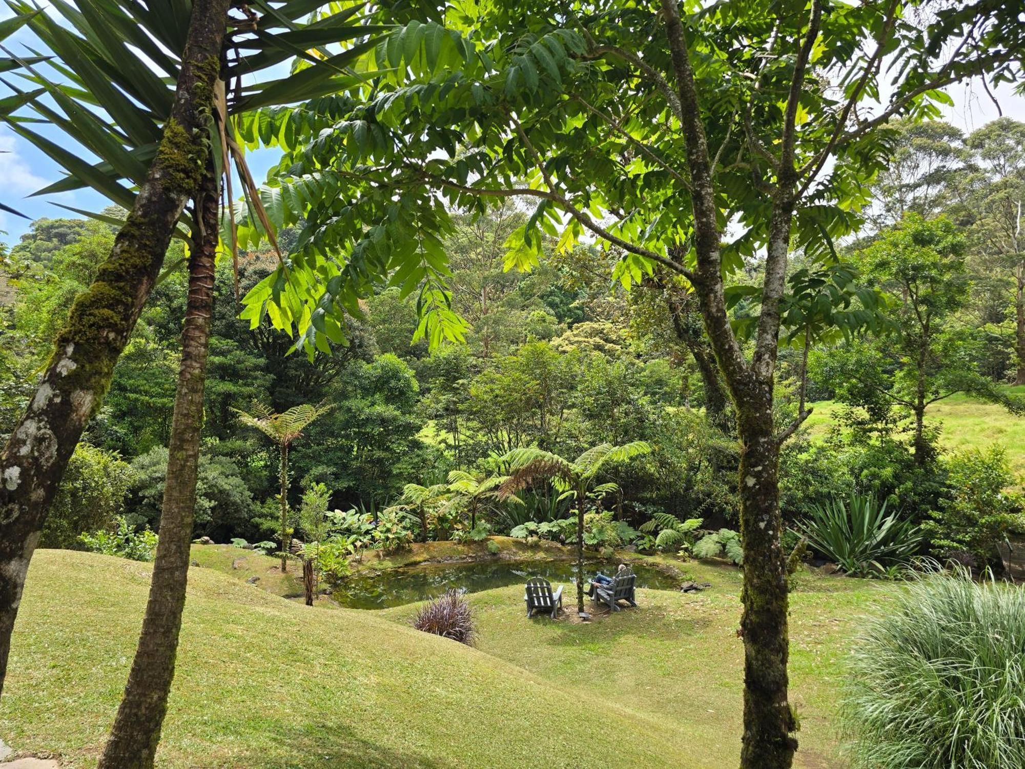 UNFORGETTABLE PLACE,Monteverde Casa Mia near main attractions&town Buitenkant foto