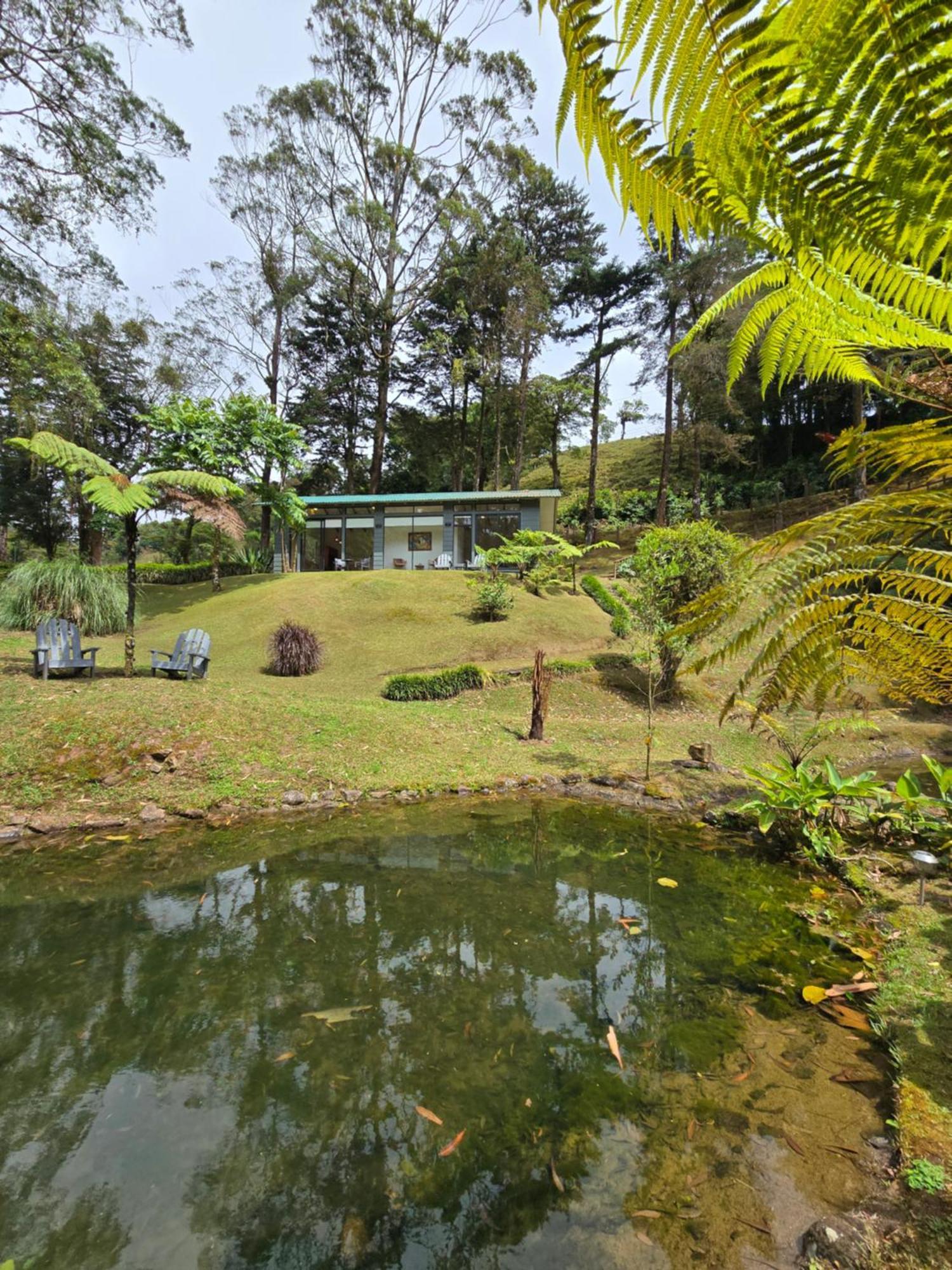 UNFORGETTABLE PLACE,Monteverde Casa Mia near main attractions&town Buitenkant foto
