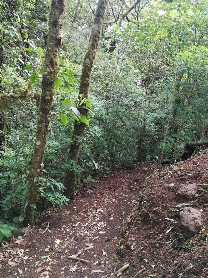 UNFORGETTABLE PLACE,Monteverde Casa Mia near main attractions&town Buitenkant foto